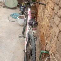 دوچرخه 26برمودا