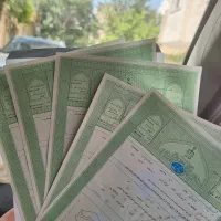 سرمایه گذار
