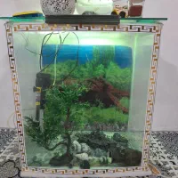 آکواریوم شیشه خم