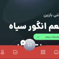 پر رزومه ترین طراح سایت قم Iطراحی سایتl اینماد ترب|خدمات رایانه‌ای و موبایل|قم, صفاشهر|دیوار