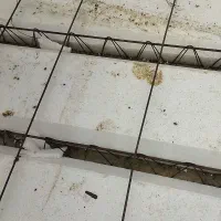 بنایی|خدمات پیشه و مهارت|گوراب زرمیخ, |دیوار