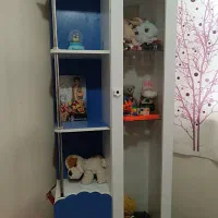 دو عدد کمد کودک|جاکفشی، کمد، دراور|زاهدان, |دیوار