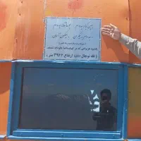 همنورد