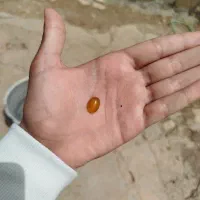 نگین عقیق مفت