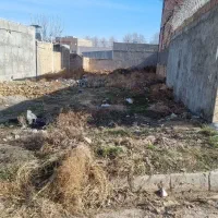 خیابان-وحدانی