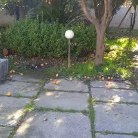 زمین ۶۵۰متری با بنای قدیمی