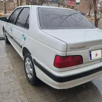 پارس در حد خشک