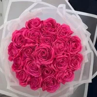 گل رز ربانی شاخه ایی ۲۰ و گل برای روز اول مهر|گل مصنوعی|رشت, پل تالشان|دیوار