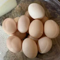 تخم مرغ محلی تازه