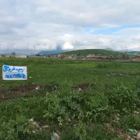 زمین لب آسفالت