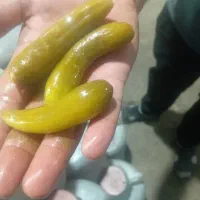 محصولات خانگی|عمدهفروشی|امیرآباد, |دیوار