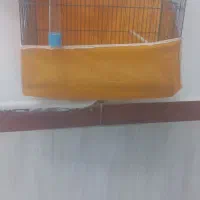 قفس پرنده