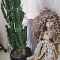 عروسک سرامیکی وارداتی کاملا سالم و نو و زیبا|اسباب‌‌بازی|تهران, پونک|دیوار