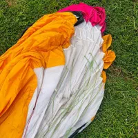 بال‌ بسیار تمیز و کم پرواز توی تصاویر مشخصه