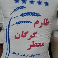 برنج فجر سوزنی ارسال رایگان آماده همکاری|عمده‌فروشی|ورامین, خورین|دیوار