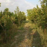 باغ-به-متراژ-750-مترمربع