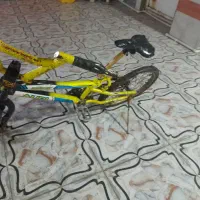 دوچرخه حرفای