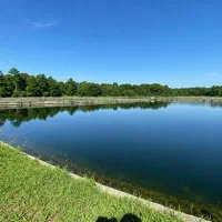 ۲۵ هکتار استخر پرورش ماهی