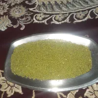 ماش محلی خوش پخت|خوردنی و آشامیدنی|پلدختر, |دیوار