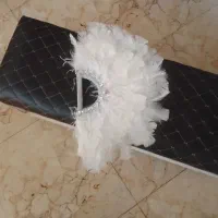 بادبزن عروس