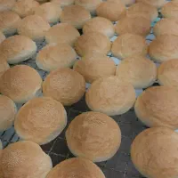 نان باگت.فینگر فوت .همبرگر.