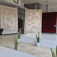 کمک حسابدار خانم
