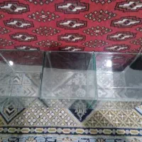 آکواریوم ماهی فایتر