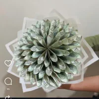 اسکناس پول وسینی حنا