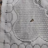 روتختی تور ضخیم طرحدار سفید در حد نو|سرویس روتختی|شوشتر, |دیوار