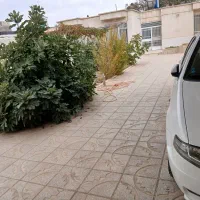 فروش خانه ی ویلایی در تربت جام|فروش خانه و ویلا|تربت جام, فاز ۱ فرهنگیان|دیوار