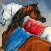 باکس اجاره ای و پانسیون اسب