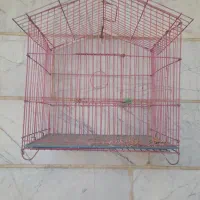 قفس شیروانی دار