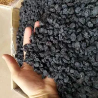 فروش مویز وانواع کشمش|عمده‌فروشی|اسلام‌شهر, شهرک مهدیه|دیوار