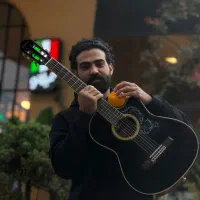 گیتاریست و خواننده