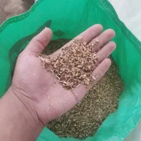 اسپند سابیده شده با خاصیت دارویی|آرایشی، بهداشتی، درمانی|اصفهان, مصلی|دیوار