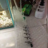 آکواریوم|ماهی|کرمانشاه, |دیوار