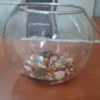 تنگ بزرگ خارجی