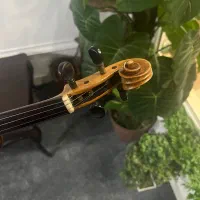 ویلن اروپایی