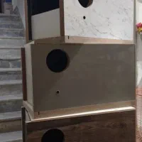 لانه عروس هلندی