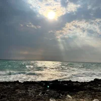 نگهبانی و حراست منزل