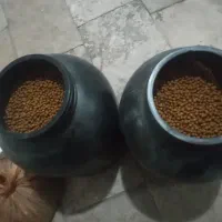 وسایل اکواریم
