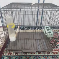 یک عدد قفس