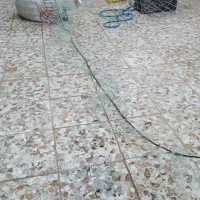 تورماهی گیری