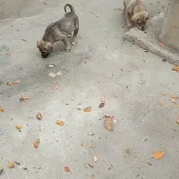 به دلیل نبود جا