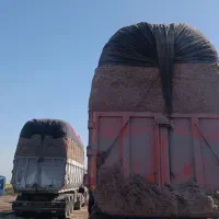 کاه نیشکر،  باگاس|عمده‌فروشی|کارون, |دیوار