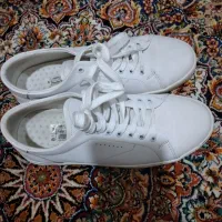 کتونی کفش اسپرت