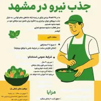 استخدام در آشپزخانه مجتمع کوهسر