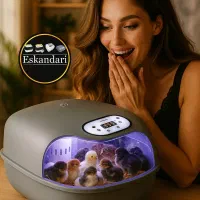 دستگاه جوجه کشی اتوماتیک هوشمند مناسب تمام پرندگان|لوازم جانبی حیوانات|کرج, اصفهانیها|دیوار