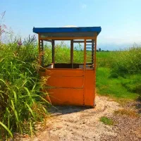 کانکس سنگین وزن|مصالح و تجهیزات ساختمان|سرخرود, |دیوار