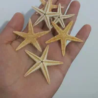 تزینات|ماهی|بندر کنگان, |دیوار